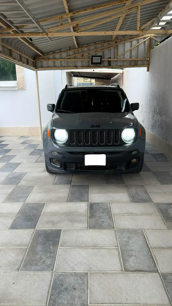 Jeep Renegade 2018 — photo 1 of 11