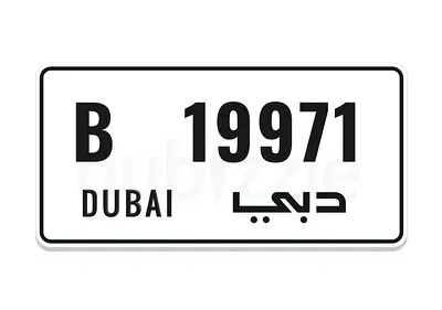 B 19971 – Unique 1-997-1 Pattern