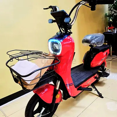 Wind Horse GROCERY Delivery 48 v  D2 Electric Scooter