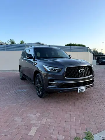 2024 Infiniti QX80 照片 2
