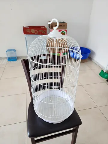 Bird Cage for Sale – Good Condition