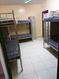 EXECUTIVE MALE BED SPACE - NEAR BURJUMAN METRO STATION