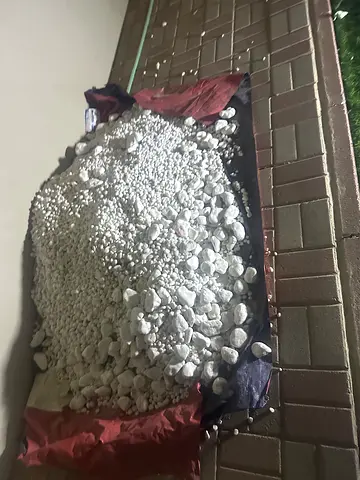 Backyard stones -white