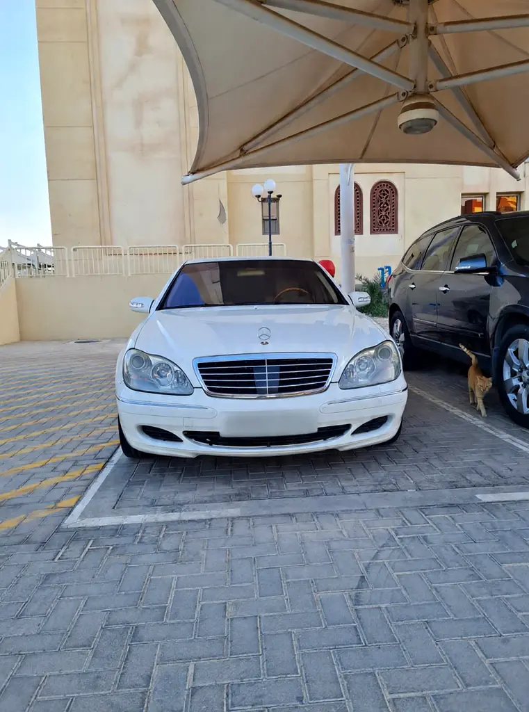 Mercedes-Benz S-Class 2004 — photo 1 of 20