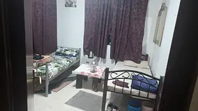 Urgently  Needed Executive bachelor for kerala family.. delecious home made food also available...