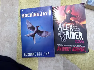 Mockingjay and Alex rider book