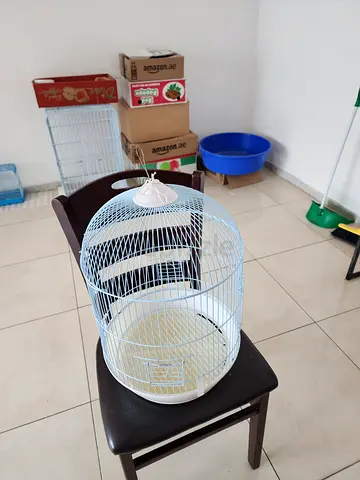 Bird Cage for Sale – Good