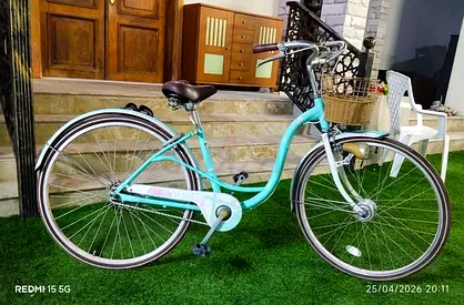 CHERIE BRAND 26 Inch adult bike