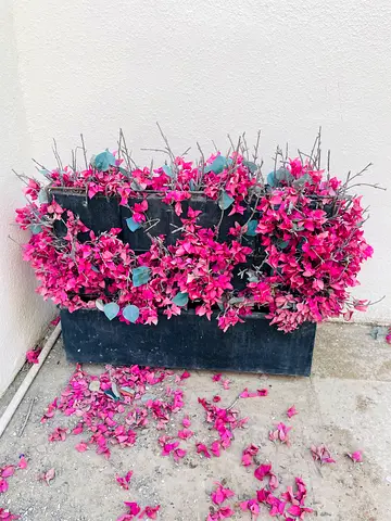 Artificial bougainvillea in a large pot