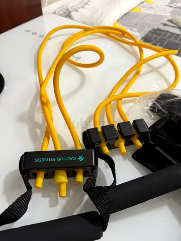 Fitness bands Cactus Fitness