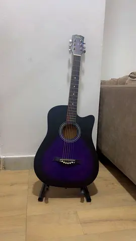 Acoustic Guitar with cover and stand