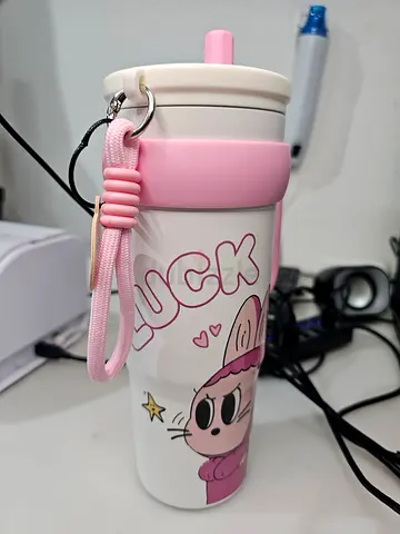 Pink Cartoon Stainless Steel Water Bottle with Straw (Used), Tumblr for kids Labubu