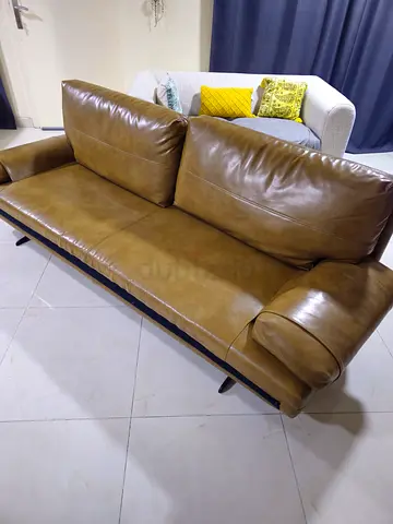 Brown Sofa