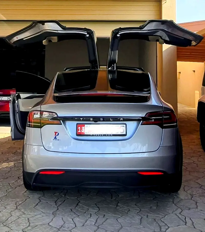Tesla Model X 2025 — photo 1 of 9