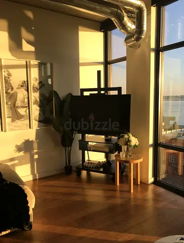 Pottery Barn Mobile TV Stand, looks great with big windows, opens the space