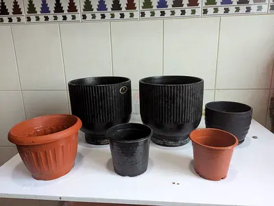 BIG SALE OFFER on Pots and Plants ALL 199 AED