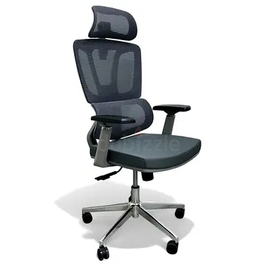Ergonomic Mesh Office Chair with Headrest - Grey