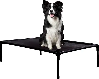 3171 - Elevated Dog Bed for Small Dogs, Raised Outdoor Dog Bed with Breathable  Washable Mesh, Indo