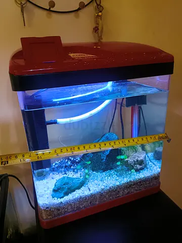 Small Aquarium for sale AED 70/Tank With stones , wood , filter