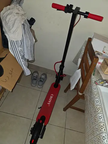 Scooter.. crony. 1 month only
