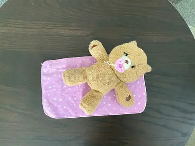 Small brown teddy bear