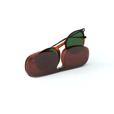 Vintage-style Clip-on Sunglasses with Hard Case 1.5