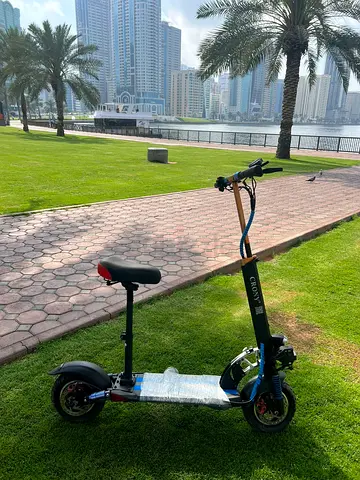 Electric Scooter with Seat
