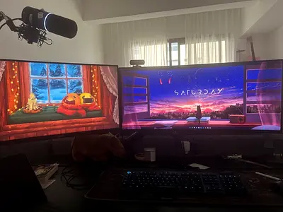 Two monitors on arm stand
