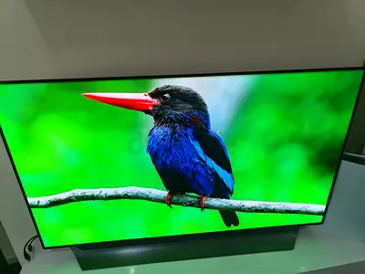 Lg 55 OLED Tv 55C8PVA