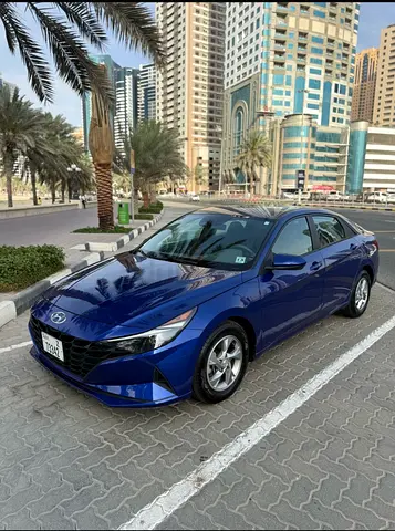 الشارقة التعاون