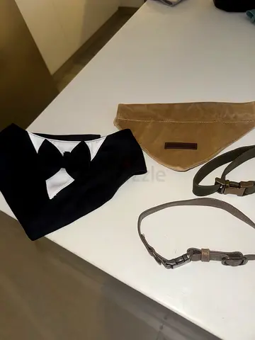 Collars and leads bundle - 2 collars, 2 leads (one compatible with bag), car safety clip, 2x bandana