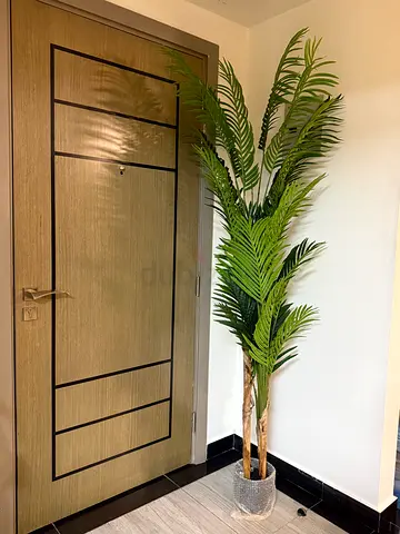 Tall Artificial chrysalidocarpus Tree 220cm with Pot — Green Indoor/Outdoor Decor