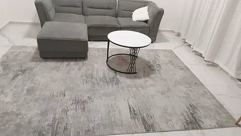 Light Grey Modern Large Area Rug - 2.5 x 3.5m (approx.)