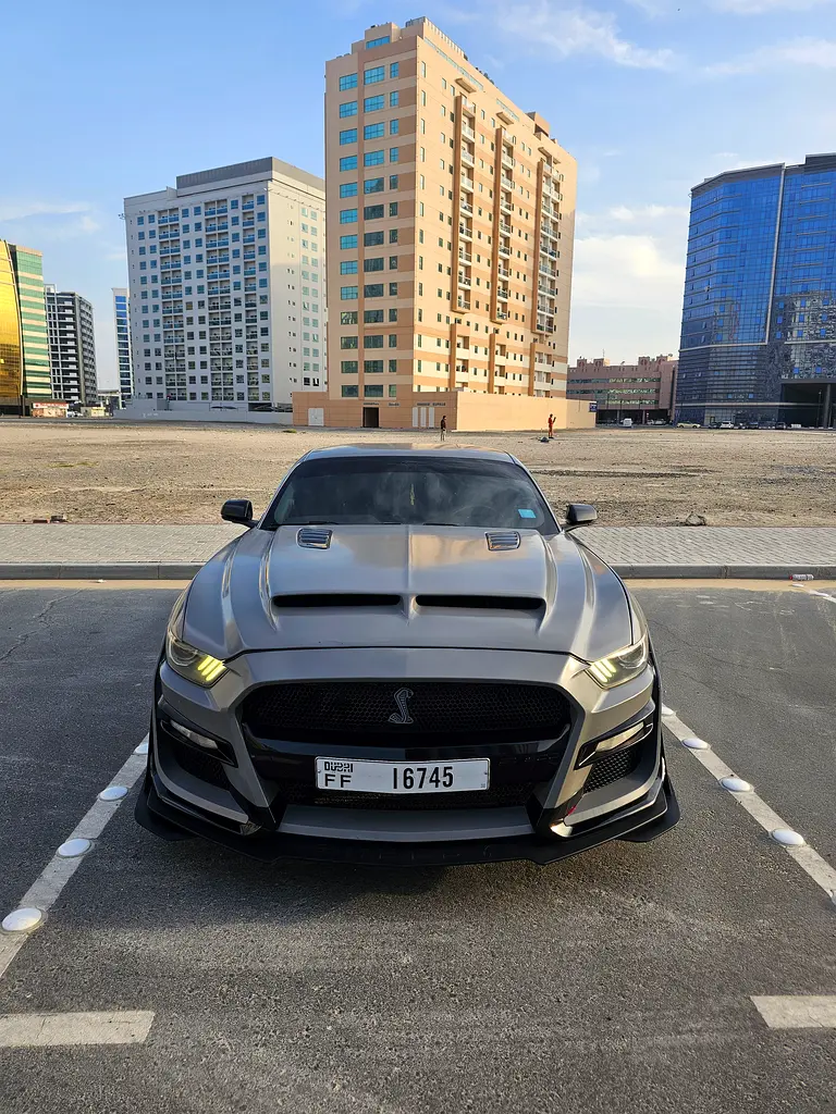 Ford Mustang 2017 — photo 1 of 9