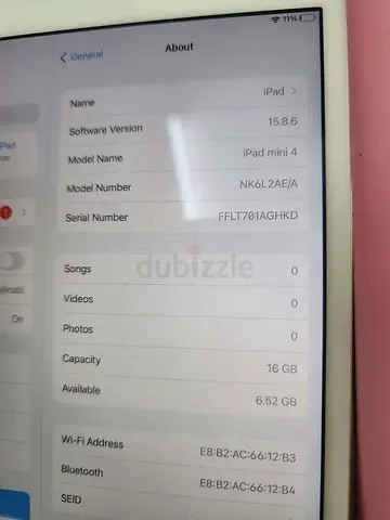 Apple iPad mini 4, 16GB, iOS 15.8.6 - Good Working Condition