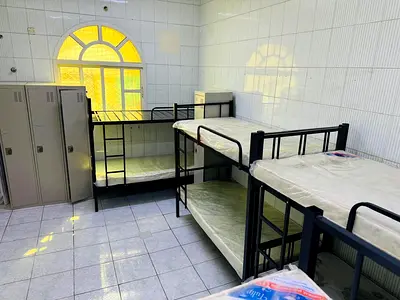 Bachelors bed space available