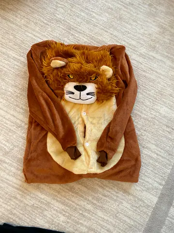 Lion costume