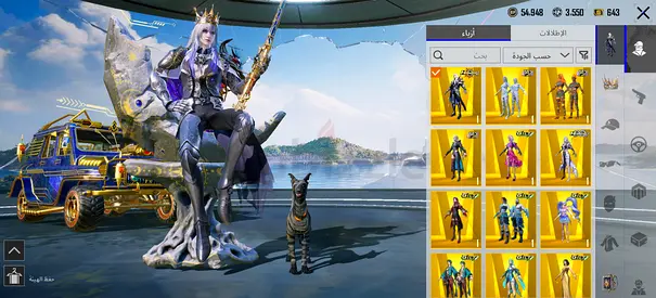 PUBG Mobile account with multiple elite skins and gold outfits