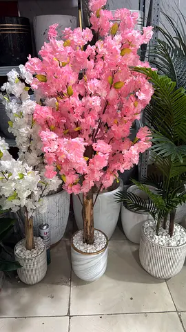 Set of Decorative Artificial Cherry Blossom Trees with Pots
