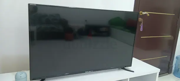 Television
