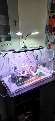 Used Aquarium Setup – Complete Starter Kit