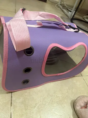 Purple soft-sided pet carrier backpack with window and ventilation