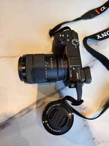 Sony a6600