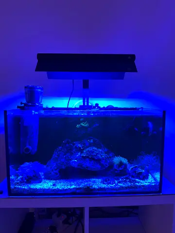 Marine tank