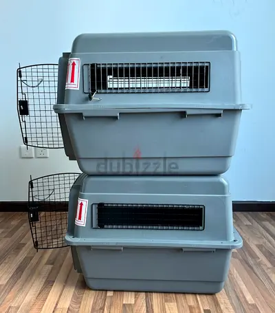 Dogs carriers for air travel