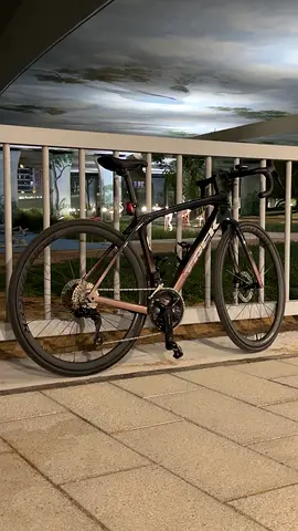 TREK DOMANE SL6 GEN 4 2026 Size (52)