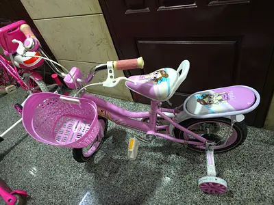 Pink Kids Bicycle with Training Wheels and Basket — Good Condition