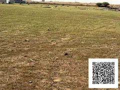 AVALABLE 5030 SQFT G+1 RESIDENTIAL PLOT FOR SALLE IN AL MANAMA 1 AJMAN UAE
