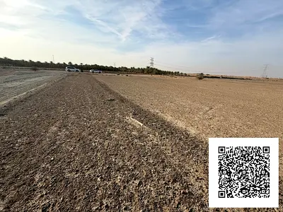 AVAILABLE RESIDENTIAL LAND 5000++ SQFT FOR SALE IN AL MANAMA 9 AJMAN UAE