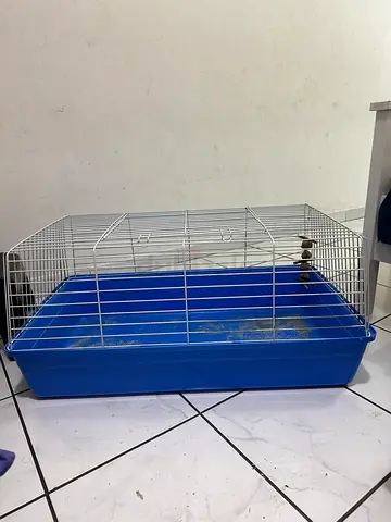Rabbit cage